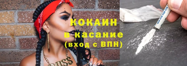 твердый Ельня