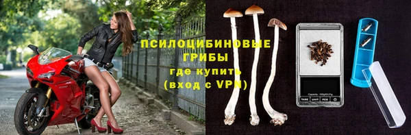экстази Богородицк