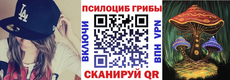 Галлюциногенные грибы GOLDEN TEACHER  Мглин 